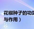 花椒種子的功效與作用禁忌（花椒種子的功效與作用）