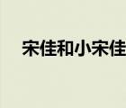 宋佳和小宋佳什么關(guān)系（宋佳和小宋佳）