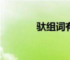 馱組詞有哪些詞語（馱組詞）