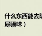 什么東西能去除黑頭和粉刺（什么東西能去除尿騷味）