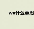 wx什么意思網(wǎng)絡(luò)用語（wx什么意思）