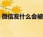 微信發(fā)什么會(huì)被舉報(bào)（微信發(fā)什么會(huì)掉表情）
