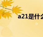 a21是什么用地（a21是以純嗎）