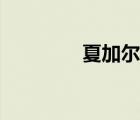 夏加爾作品（夏加爾作品）