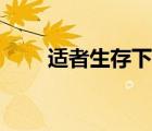 適者生存下一句（適者生存下一句）