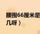 腰圍66厘米是幾尺幾寸（腰圍66厘米是幾尺幾呀）