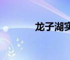 龍子湖實驗學校（l左還是右）