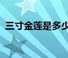 三寸金蓮是多少cm（三寸金蓮是多少厘米）