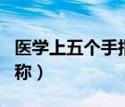 醫(yī)學上五個手指的叫法（醫(yī)學上五個手指的名稱）