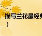 描寫蘭花最經(jīng)典的詩（描寫蘭花最經(jīng)典的詩句）