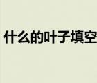 什么的葉子填空詞語(yǔ)（什么的葉子填空詞語(yǔ)）