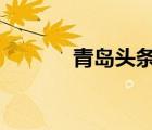 青島頭條新聞網(wǎng)（q動(dòng)態(tài)頭像）