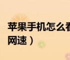 蘋(píng)果手機(jī)怎么看網(wǎng)速狀態(tài)欄（蘋(píng)果手機(jī)怎么看網(wǎng)速）