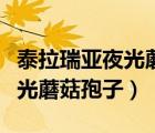泰拉瑞亞夜光蘑菇孢子怎么獲得（泰拉瑞亞夜光蘑菇孢子）