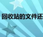 回收站的文件還原去哪里了（回收站的作用）