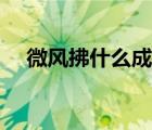 微風(fēng)拂什么成語（微風(fēng)拂面是不是成語）