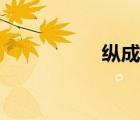 縱成語(yǔ)開頭（縱成語(yǔ)）