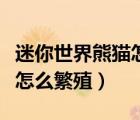 迷你世界熊貓怎么繁殖下一代（迷你世界熊貓怎么繁殖）