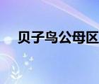 貝子鳥公母區(qū)分（貝子鳥公母區(qū)分圖片）