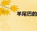 羊尾巴的價(jià)格（羊尾巴的作用）