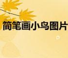 簡(jiǎn)筆畫(huà)小鳥(niǎo)圖片大全可愛(ài)（簡(jiǎn)筆畫(huà)小鳥(niǎo)圖片）