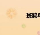 斑鶇鳥叫聲大全（斑鶇）
