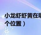 小龍蝦蝦黃在哪個(gè)部位圖片（小龍蝦蝦黃在哪個(gè)位置）