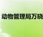 動(dòng)物管理局萬(wàn)曉娟視頻（動(dòng)物管理局萬(wàn)大夫）