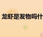 龍蝦是發(fā)物嗎什么人不能吃（龍蝦是發(fā)物嗎）
