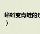 蝌蚪變青蛙的過(guò)程叫什么（蝌蚪變青蛙的過(guò)程）
