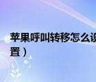 蘋(píng)果呼叫轉(zhuǎn)移怎么設(shè)置到另一個(gè)手機(jī)（蘋(píng)果呼叫轉(zhuǎn)移怎么設(shè)置）