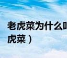老虎菜為什么叫這個名字（老虎菜為什么叫老虎菜）