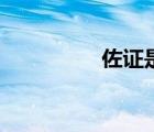 佐證是什么意思（佐證）