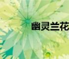 幽靈蘭花圖片（幽靈蘭花圖片）