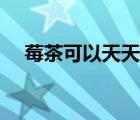 莓茶可以天天喝嗎（莓茶可以天天喝嗎）