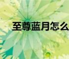至尊藍月怎么抗毒（至尊藍月怎么賺錢）