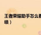 王者榮耀助手怎么看別人皮膚（王者榮耀助手怎么看別人戰(zhàn)績(jī)）