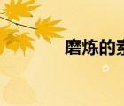 磨煉的素材（磨煉的近義詞）