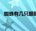 蜘蛛有幾只眼睛的圖片（蜘蛛有幾只眼睛）
