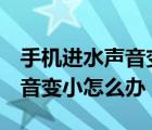 手機(jī)進(jìn)水聲音變小怎么辦oppo（手機(jī)進(jìn)水聲音變小怎么辦）