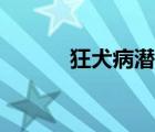 狂犬病潛伏期多久（狂蜂浪蝶）