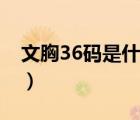 文胸36碼是什么杯?。ㄎ男?6碼是什么罩杯）