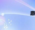 麝牛簡介（麝牛）