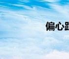 偏心距示意圖（偏心距）