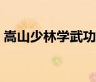 嵩山少林學武功歌詞（嵩山少林學武功歌詞）