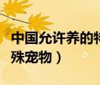 中國(guó)允許養(yǎng)的特殊寵物護(hù)主（中國(guó)允許養(yǎng)的特殊寵物）