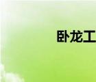 臥龍工作室（臥龍工作室）