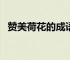 贊美荷花的成語(yǔ)和詞語(yǔ)（贊美荷花的成語(yǔ)）