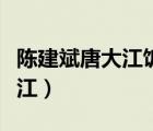 陳建斌唐大江飯店被銬是哪一集（陳建斌唐大江）