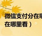 微信支付分在哪里看到往月分?jǐn)?shù)（微信支付分在哪里看）